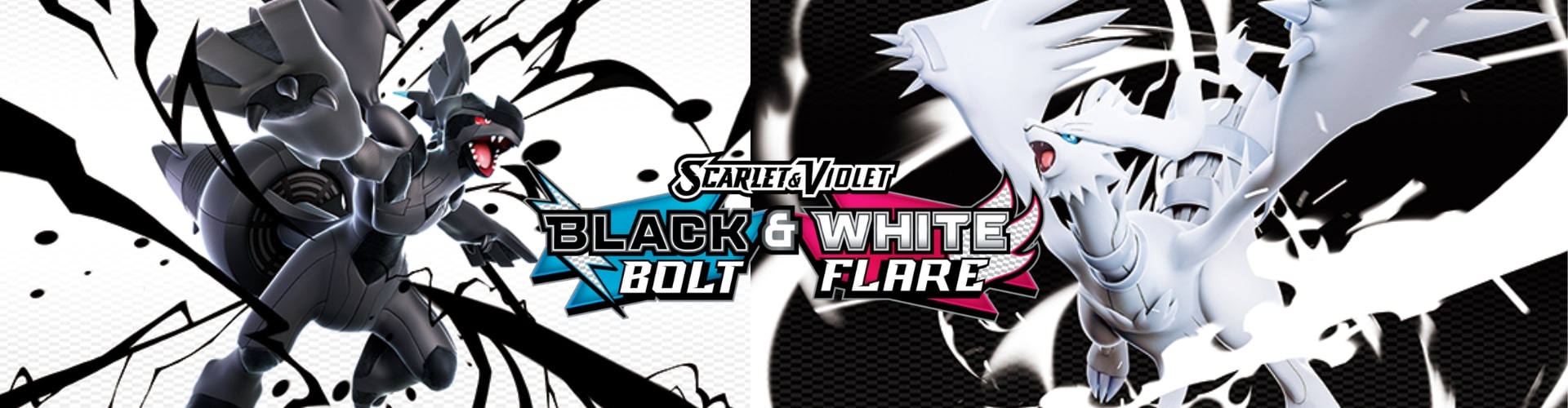desktop banner (6)-min